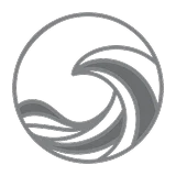 Icon of Waves